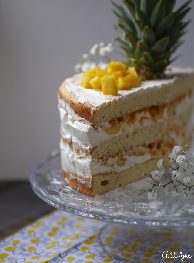Naked cake mangue-ananas [gâteau danniversaire] - Blog de 