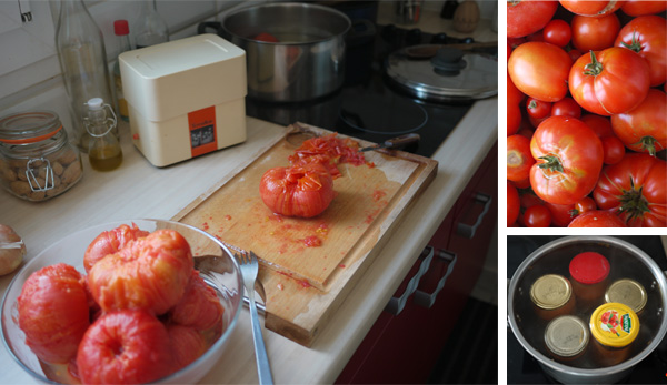 sauce tomates au basilic