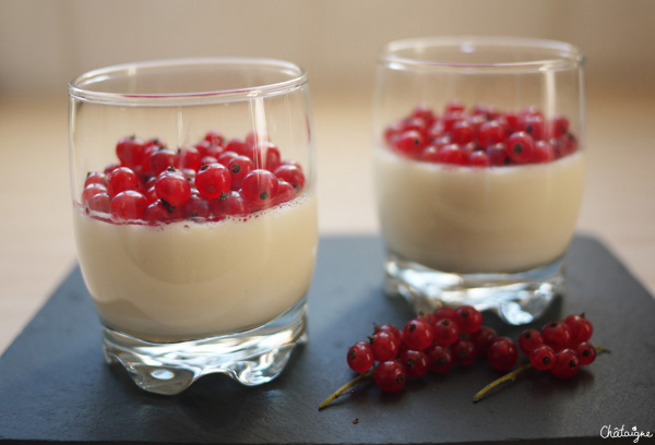 panna cotta