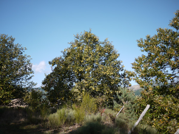 Un weekend en Ardèche