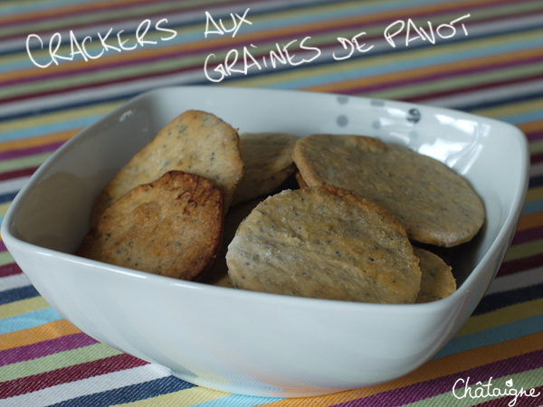 Crackers aux graines de pavot