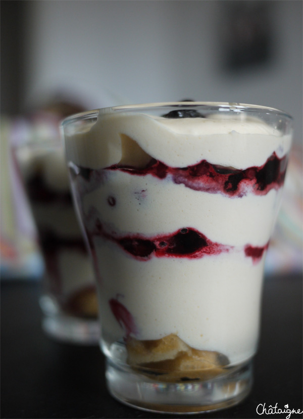 tiramisu aux fruits rouges