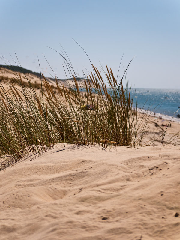 Vacances, vacances ... [Région Bordelaise]