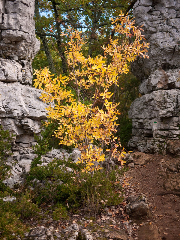 Un weekend comme si c'était les vacances - Sud Ardèche