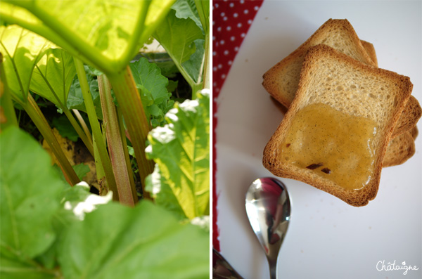 Confiture rhubarbe-vanille