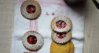 Lunettes aux framboises