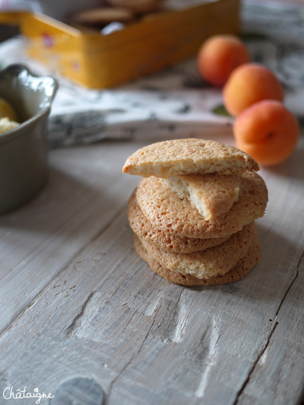 macarons de saint jean de luz