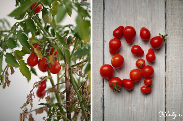 tartines aux tomates cerises et jambon cru