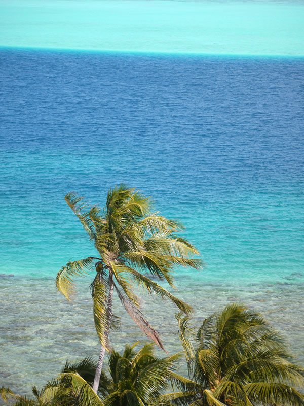 De Huahine à Bora Bora