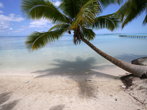 Clap de fin : de Rangiroa à Tahiti