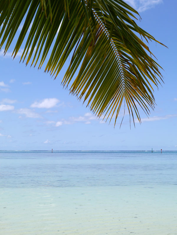 Clap de fin : de Rangiroa à Tahiti