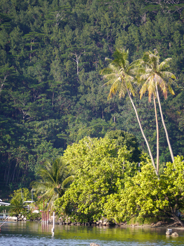 De Tahiti à Raiatea