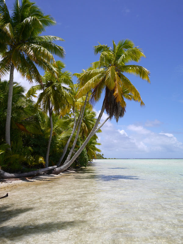 Clap de fin : de Rangiroa à Tahiti