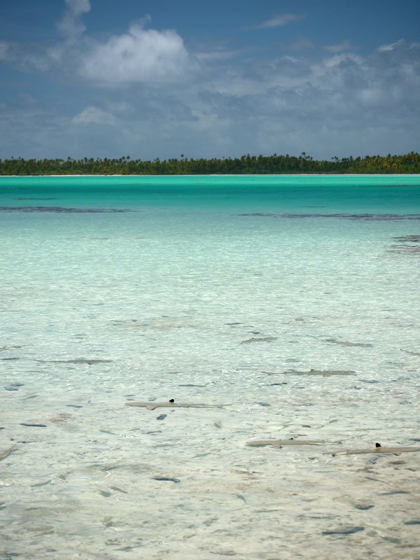 Clap de fin : de Rangiroa à Tahiti