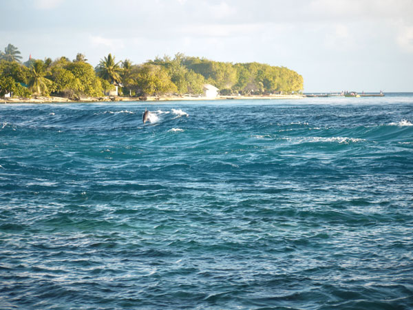 Clap de fin : de Rangiroa à Tahiti