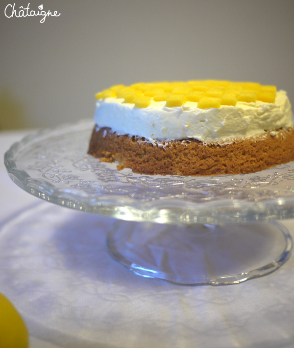 cheesecake citron 4