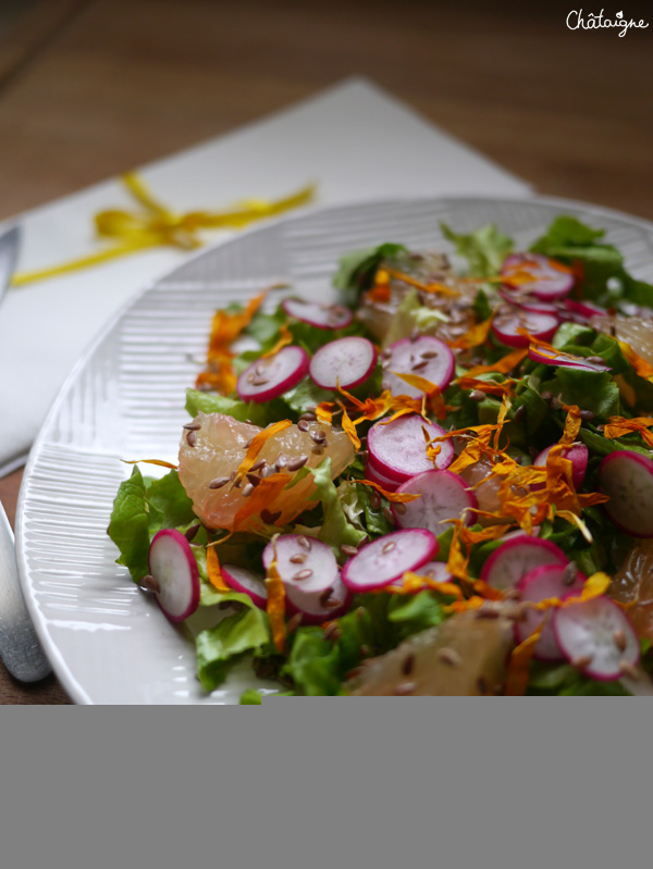 salade vitaminee 1