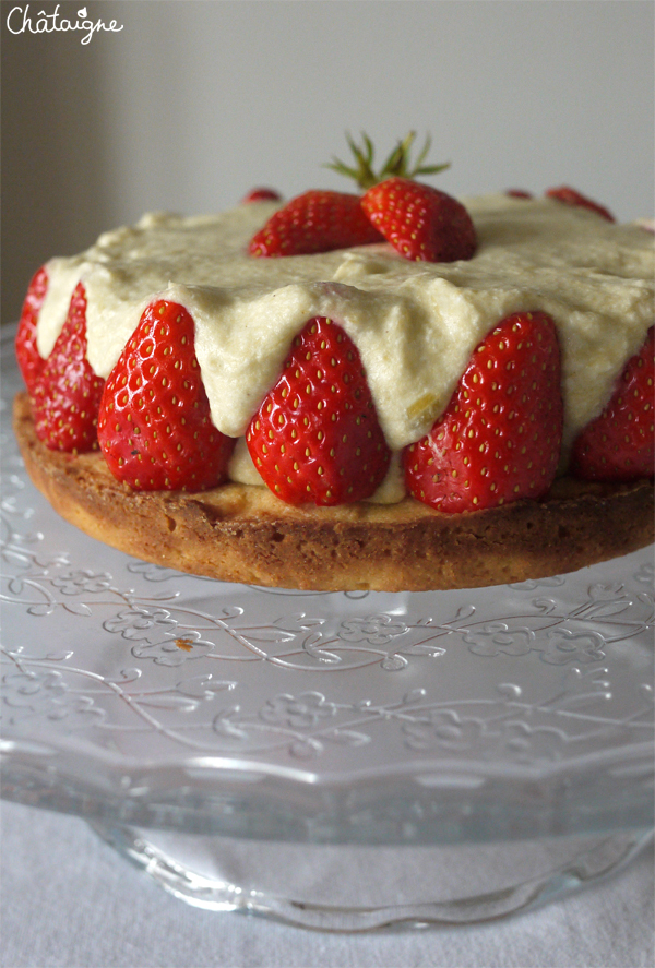 Entremets fraises – rhubarbe