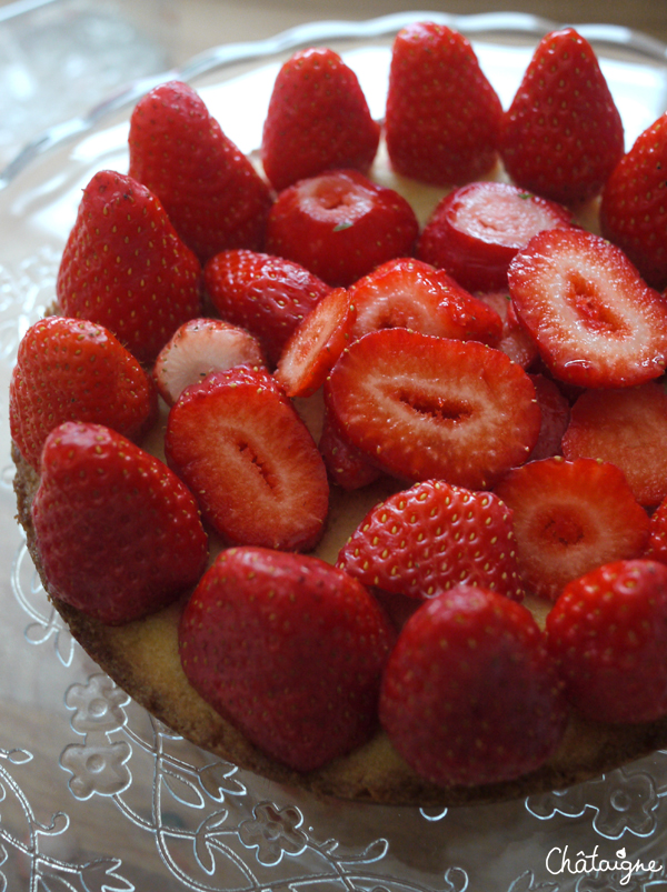 Entremets fraises – rhubarbe