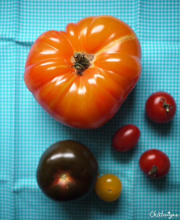 tomates-mozzarella