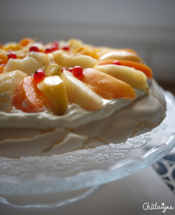 pavlova 