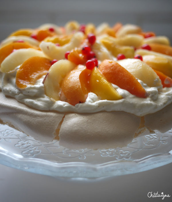 pavlova 