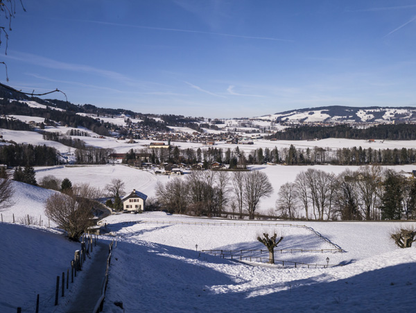 Un tour à Fribourg en Suisse