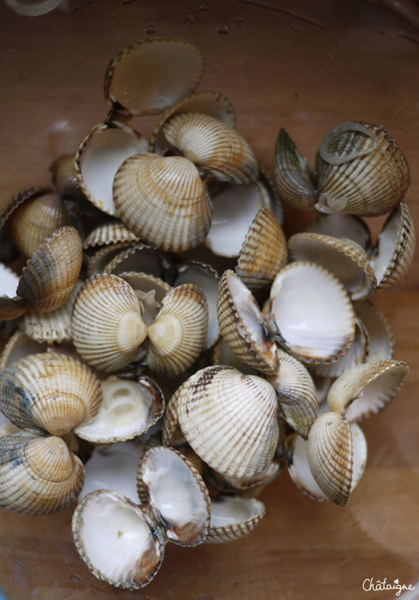 pasta alle vongole 1