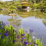 [Carnet de voyage] Kyoto et sa voisine Nara