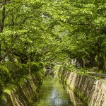 [Carnet de voyage] Kyoto et sa voisine Nara