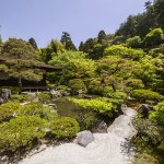 [Carnet de voyage] Kyoto et sa voisine Nara