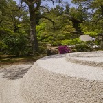 [Carnet de voyage] Kyoto et sa voisine Nara