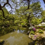 [Carnet de voyage] Kyoto et sa voisine Nara