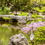 [Carnet de voyage] Kyoto et sa voisine Nara