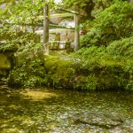 [Carnet de voyage] Kyoto et sa voisine Nara