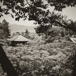 [Carnet de voyage] Kyoto et sa voisine Nara