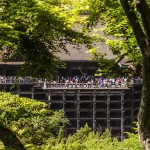 [Carnet de voyage] Kyoto et sa voisine Nara