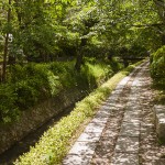 [Carnet de voyage] Kyoto et sa voisine Nara