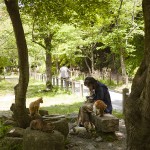 [Carnet de voyage] Kyoto et sa voisine Nara