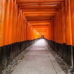 [Carnet de voyage] Kyoto et sa voisine Nara