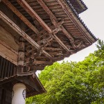 [Carnet de voyage] Kyoto et sa voisine Nara