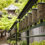 [Carnet de voyage] Miyajima et Osaka