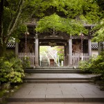 [Carnet de voyage] Miyajima et Osaka