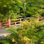 [Carnet de voyage] Miyajima et Osaka