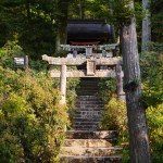 [Carnet de voyage] Miyajima et Osaka