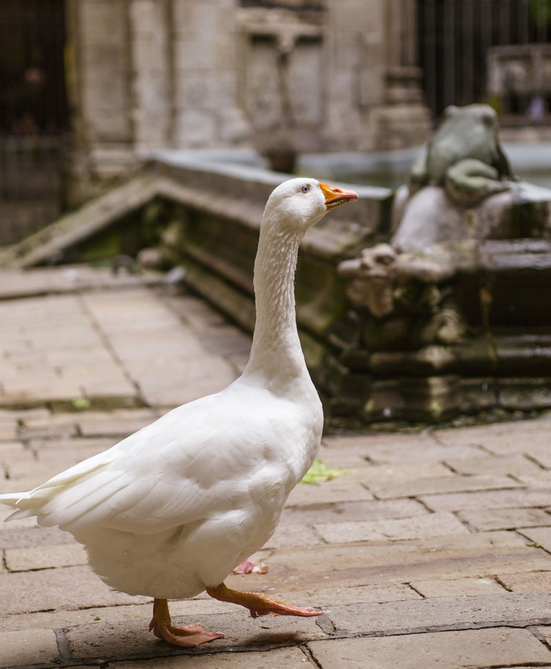 {City Guide} 3 jours à Barcelone