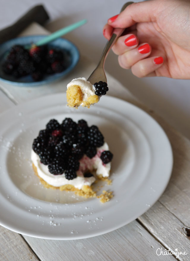 cheesecake aux mûres