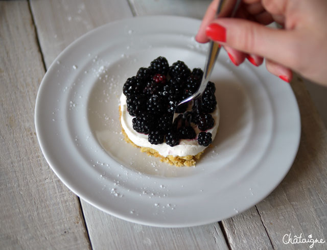 cheesecake aux mûres