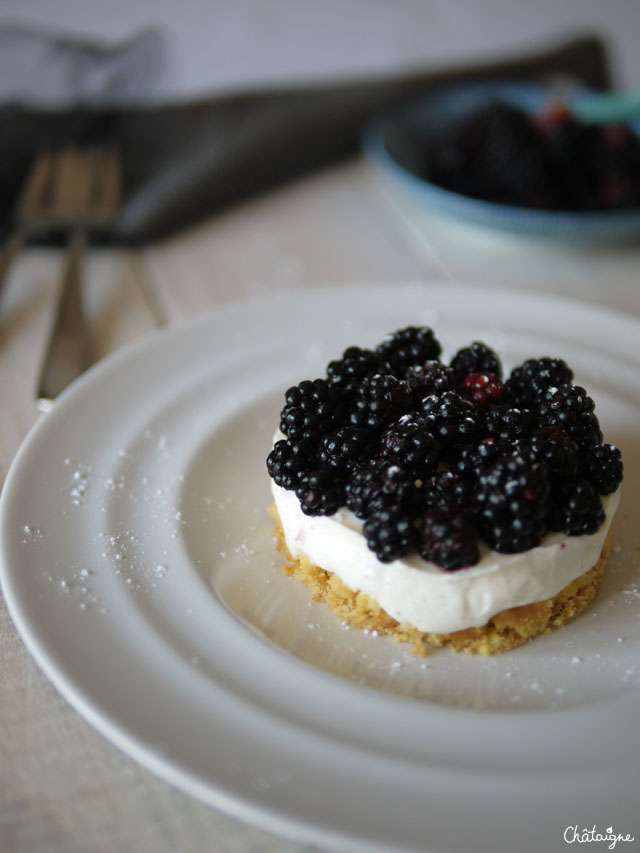 cheesecake aux mûres