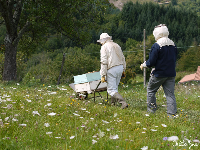 La fabuleuse histoire du Miel